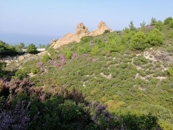 Scenic view of landscape against clear sky