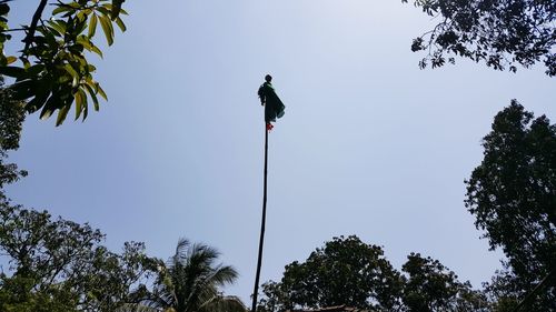 Low angle view of pole amidst trees against clear sky during gudhi padwa