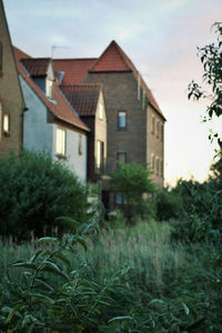 Houses by trees against sky