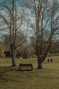 Park bench on field