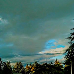 Low angle view of trees against cloudy sky