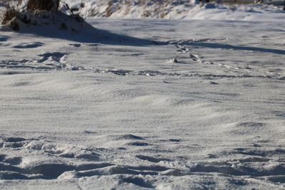 High angle view of snow land