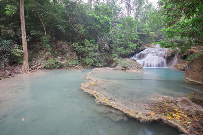 Scenic view of waterfall in forest