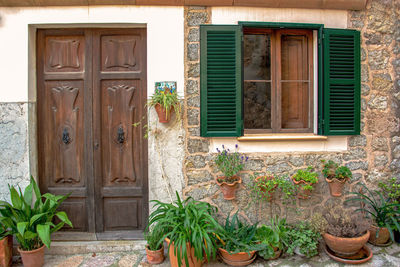 Potted plants on window of house