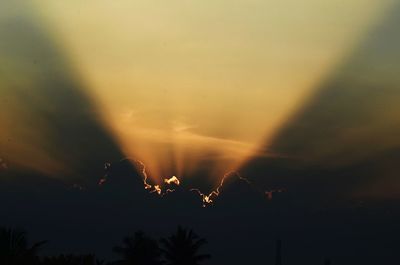 Silhouette trees against sky during sunset