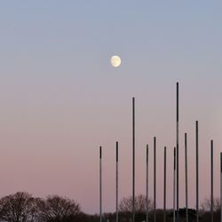 Low angle view of silhouette trees against clear sky at dusk