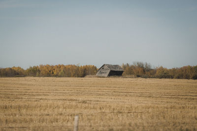 Barn on field against clear sky