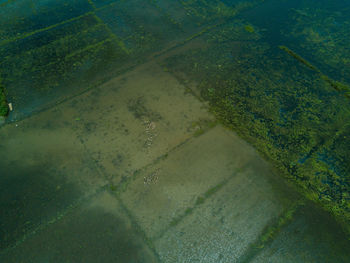 High angle view of land and sea