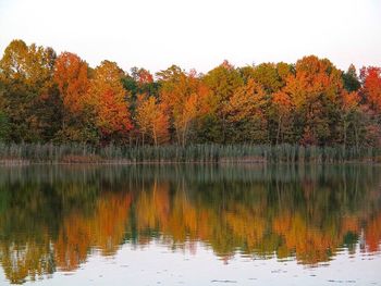 Scenic view of lake during autumn