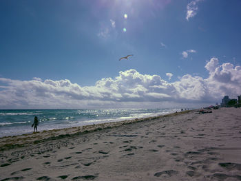 Seagulls flying over beach against sky