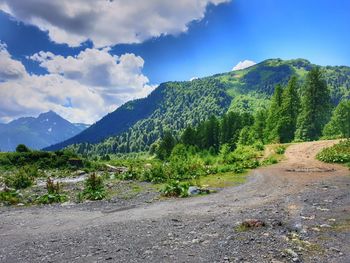 Road amidst trees and mountains against sky