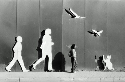 Flock of birds on wall