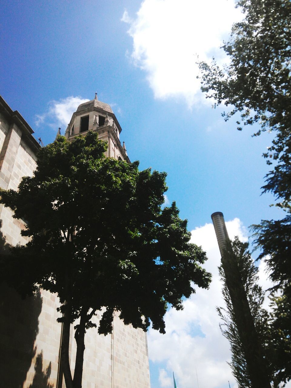 tree, sky, low angle view, architecture, built structure, religion, building exterior, cloud - sky, day, place of worship, outdoors, spirituality, no people, nature