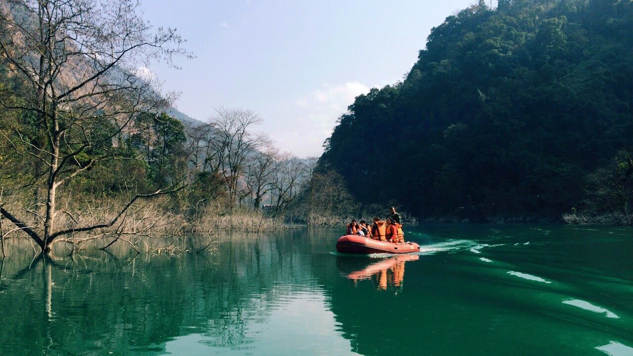 nautical vessel, tree, mode of transport, transportation, water, nature, reflection, sky, outdoors, beauty in nature, tranquility, no people, scenics, day, tourboat