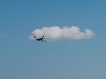 Low angle view of airplane flying in sky