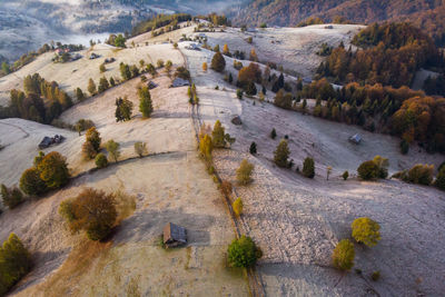 High angle view of trees on landscape