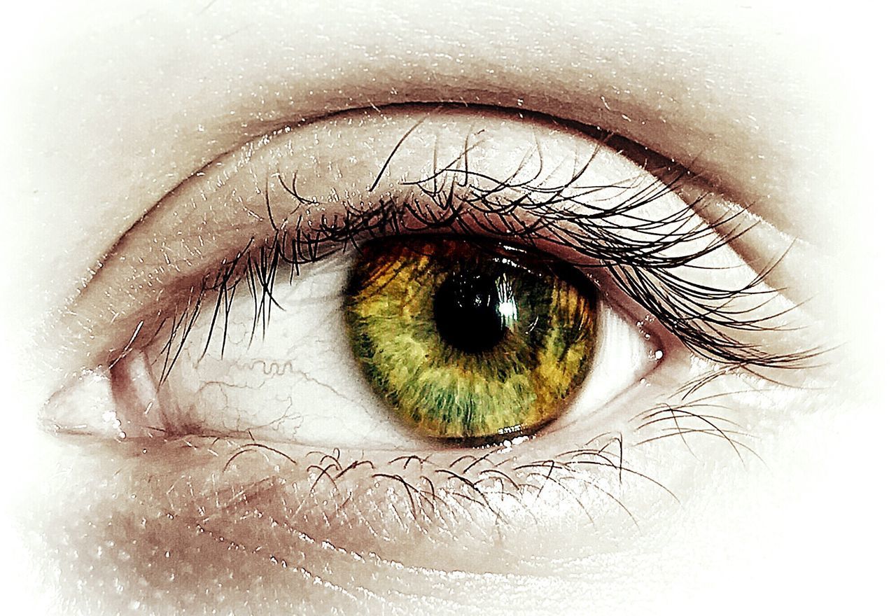 CLOSE-UP PORTRAIT OF EYE