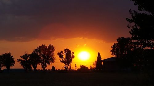 Silhouette trees on landscape against sky at sunset