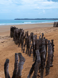 Scenic view of driftwood on beach against sky