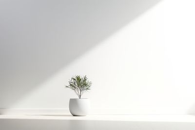 Potted plant on table