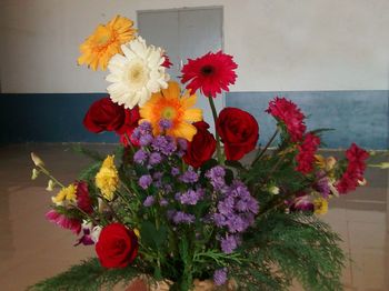 Close-up of red flowers