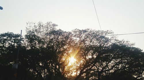 Low angle view of silhouette trees against sky during sunset