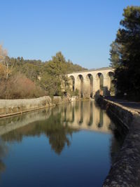 Reflection of trees in water