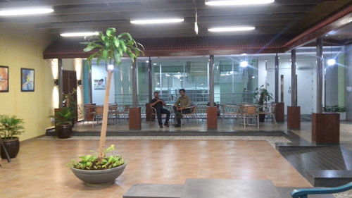 Potted plants in illuminated room