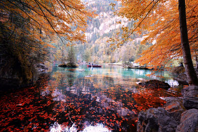 Scenic view of lake in forest during autumn