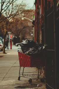 Man on sidewalk by footpath in city