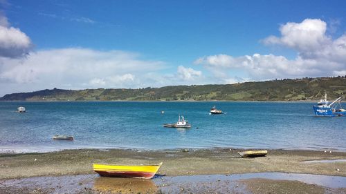 Sailboats in sea