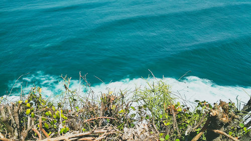 High angle view of sea shore