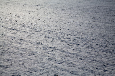 Full frame shot of abstract background