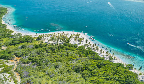 Top view in caribbean island paradisiacal - cayo sombrero - morrocoy, venezuela. aerial view.