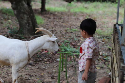 Side view of boy feeding plant to goat while standing on field