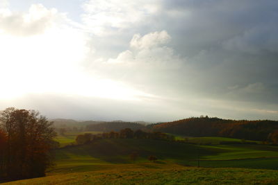 Scenic view of agricultural field against sky