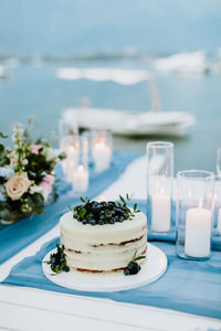 Close-up of potted plants in plate on table