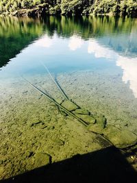 High angle view of lake