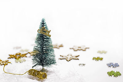 Close-up of christmas tree in snow