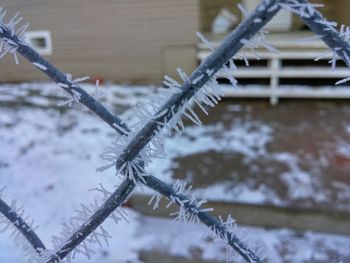 Close-up of frozen water during winter