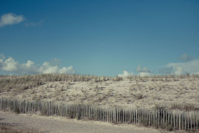 Scenic view of agricultural field against blue sky