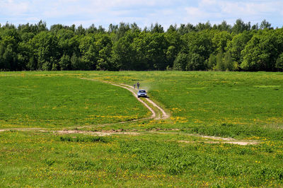 Scenic view of grassy field against sky