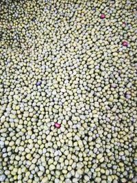 Full frame shot of candies