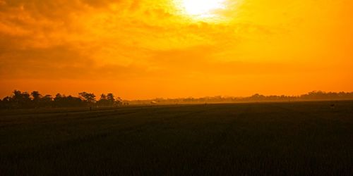 Scenic view of field against orange sky