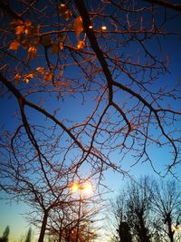 Low angle view of bare tree against sky