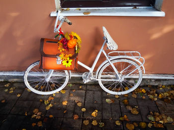 Bicycle parked on street during autumn