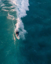 High angle view of man swimming in pool