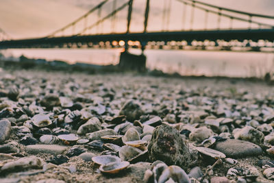 Close-up of stones on beach