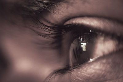 Close-up of woman eye