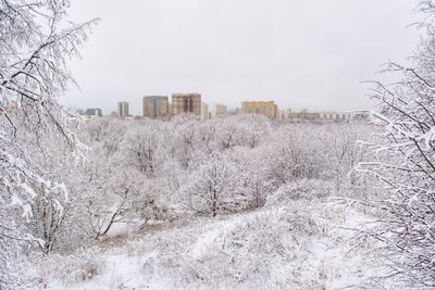 Bare trees on field against sky during winter